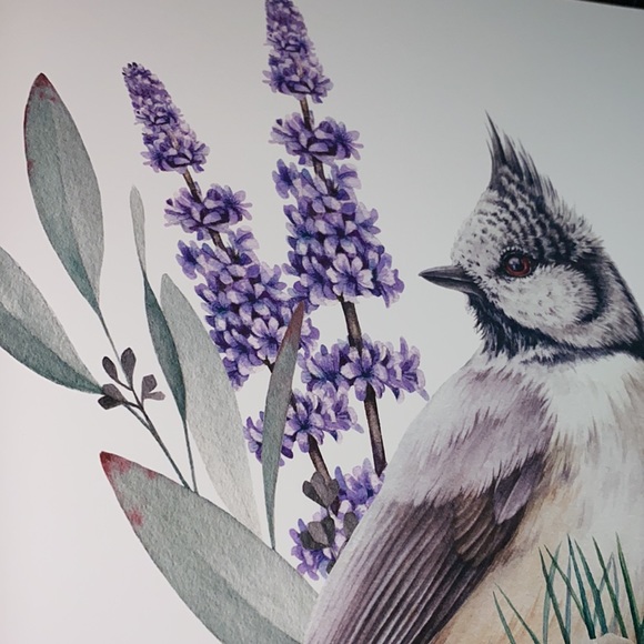Watercolor Wall Art Print Crested Tit Illustration Unframed - Picture 10 of 17